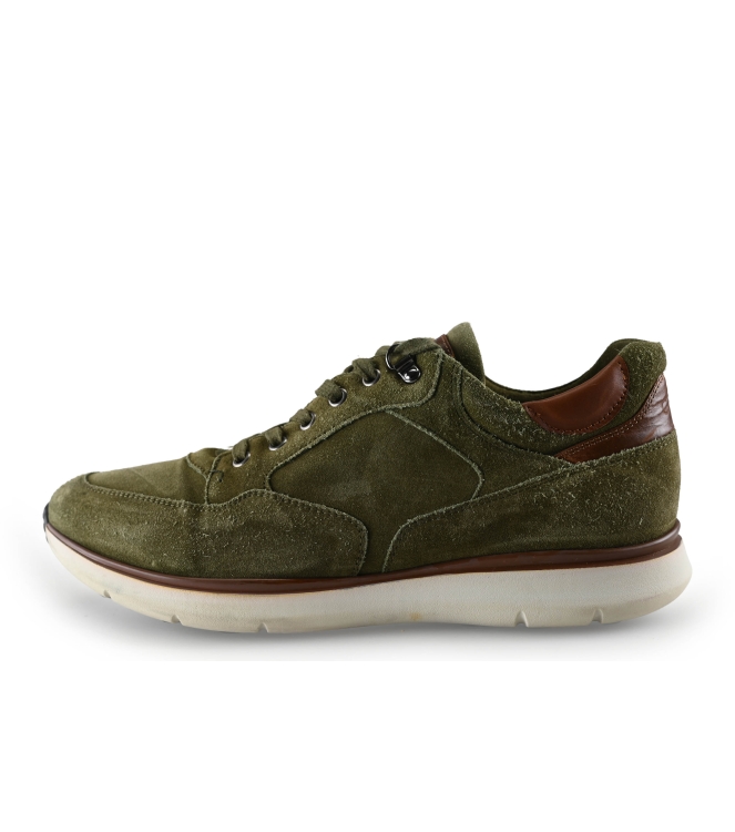 Greve Sneakers