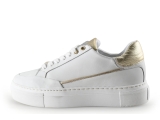 Notion1 Sneakers