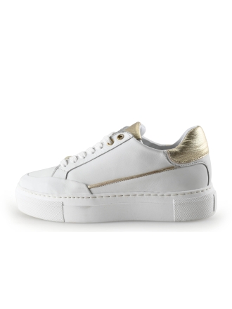 Notion1 Sneakers