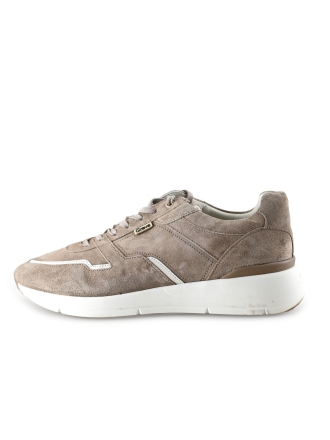 Greve Sneakers