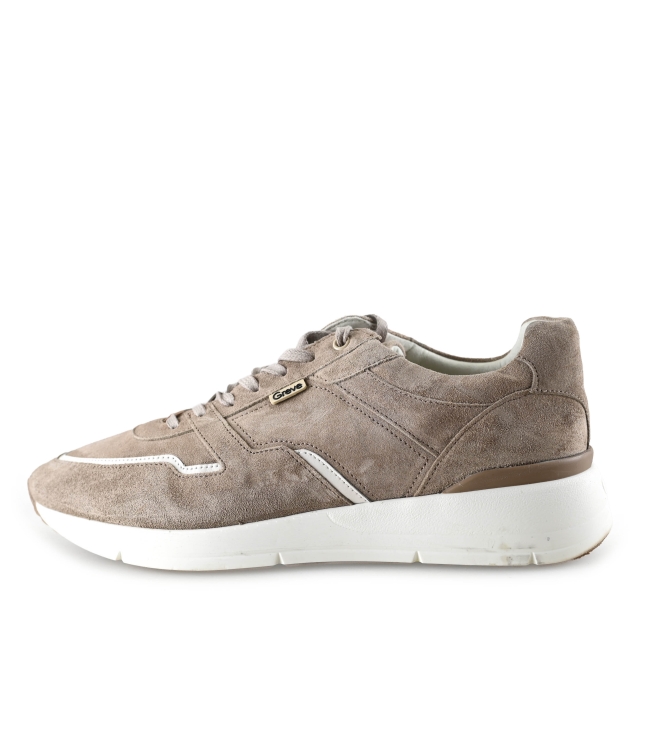 Greve Sneakers
