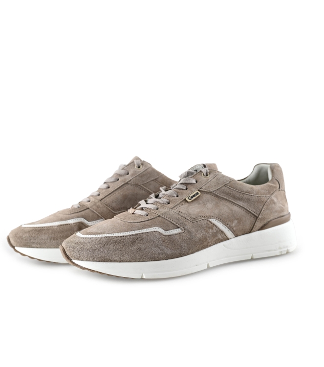 Greve Sneakers