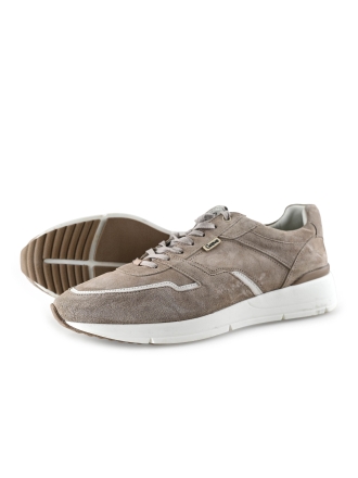 Greve Sneakers