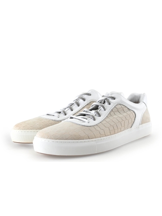 Greve Sneakers Grijs 296081