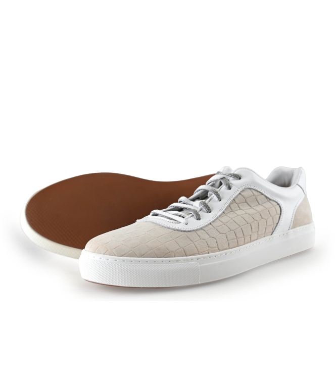 Greve Sneakers