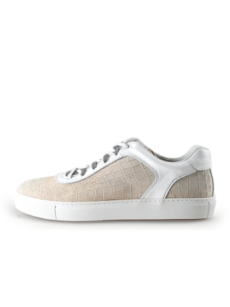 Greve Sneakers Beige 296803