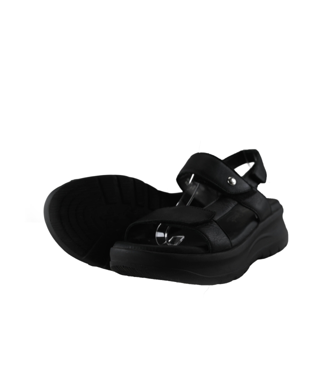 Panama Jack Sandalen