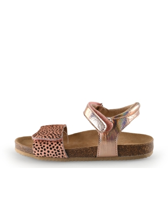 Clic Sandalen Roze 298530