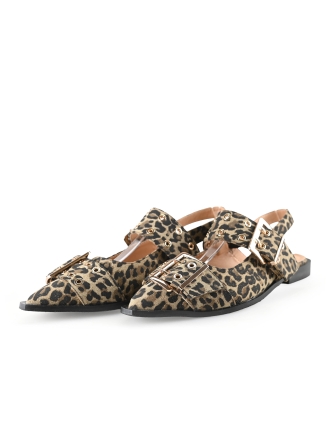 Nelson Ballerina's Bruin 298705