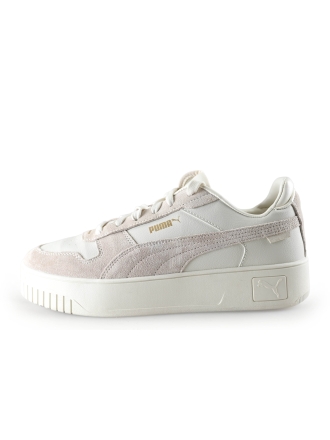 Puma Sneakers Grijs 299077