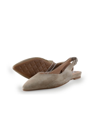 Manfield Ballerina's