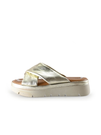 Sekada Muiltjes Goud 299528