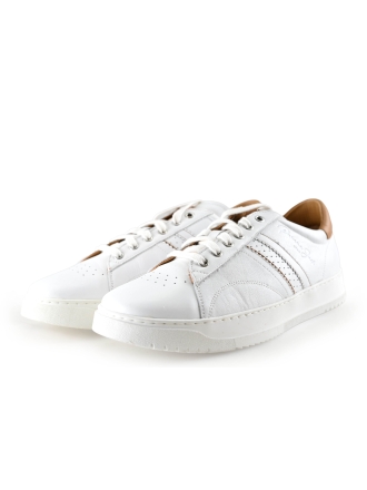 Panama Jack Sneakers Wit 299540