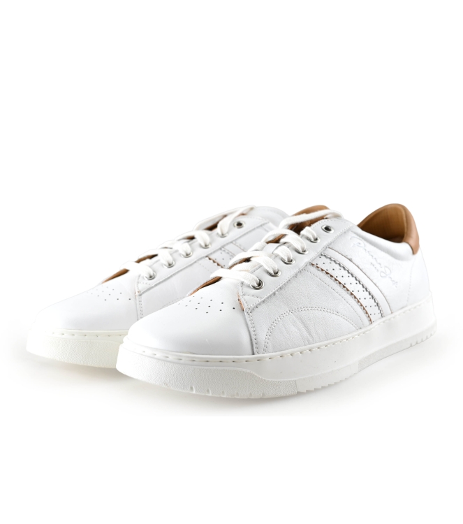 Panama Jack Sneakers