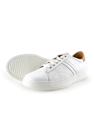 Panama Jack Sneakers