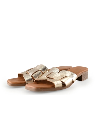 Eu Muiltjes Goud 300515