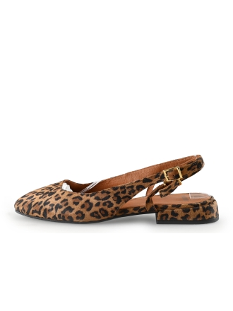 Manfield Muiltjes 301191