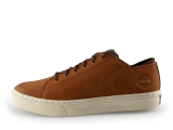 Timberland Sneakers