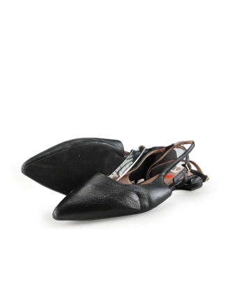 Manfield Ballerina's