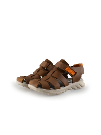 Geox Sandalen Bruin 301937