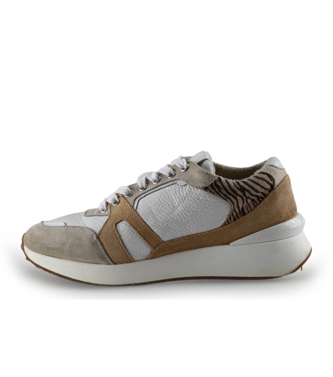 Manfield Sneakers