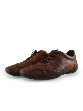 Geox Veterschoenen Bruin 302247