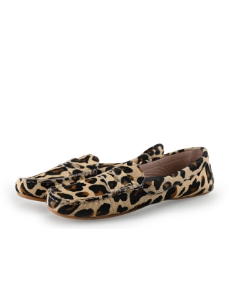 Stefano Lauran Instappers