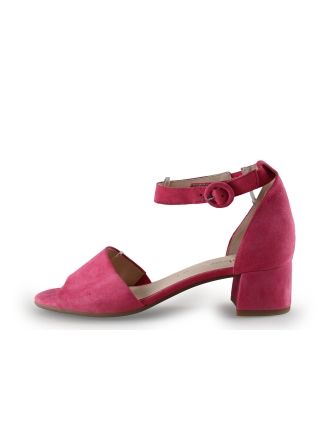 Gabor Pumps