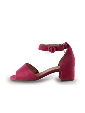 Gabor Pumps
