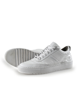 Dutchd Sneakers