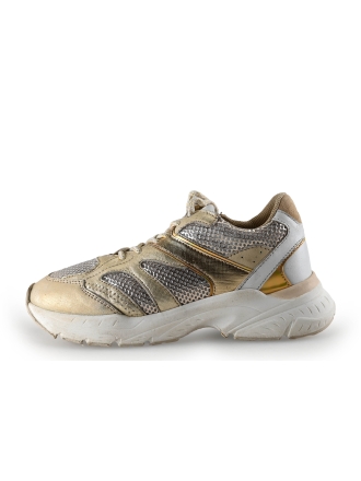 Hip Style Sneakers Goud 302710