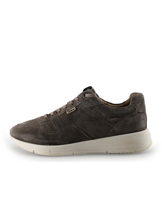 Greve Sneakers Grijs 305814