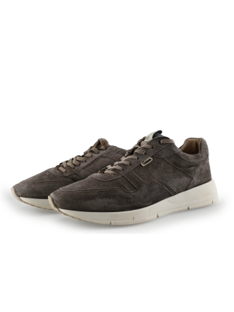 Greve Sneakers Grijs 305814