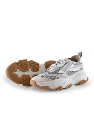 Steve Madden Sneakers