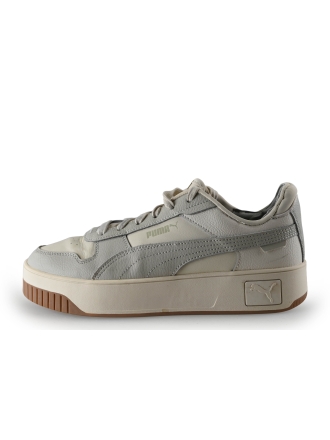 Puma Sneakers Grijs 307329