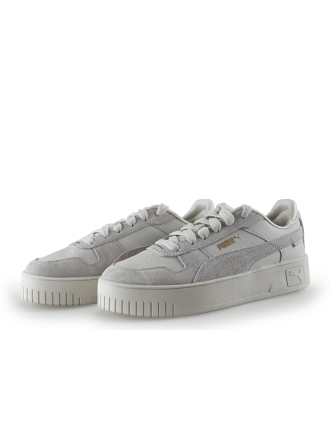 Puma Sneakers Zilver 307454
