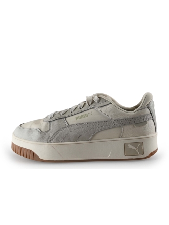 Puma Sneakers Grijs 307619