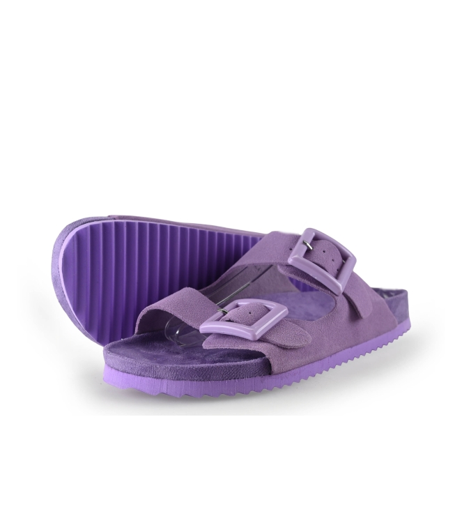 Colors of California Muiltjes