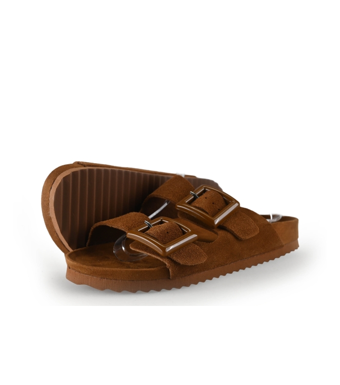 Colors of California Muiltjes