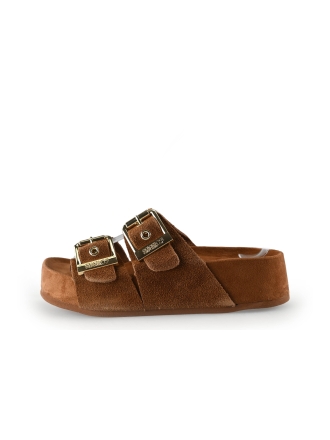 Colors of California Muiltjes Bruin 309187