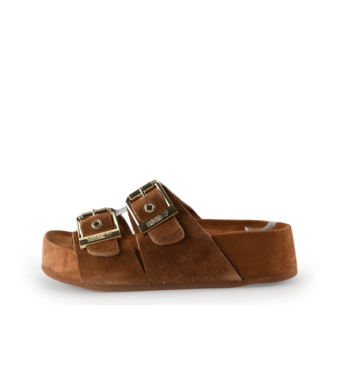 Colors of California Muiltjes