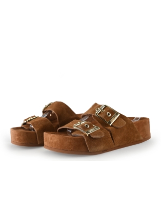 Colors of California Muiltjes Bruin 309197