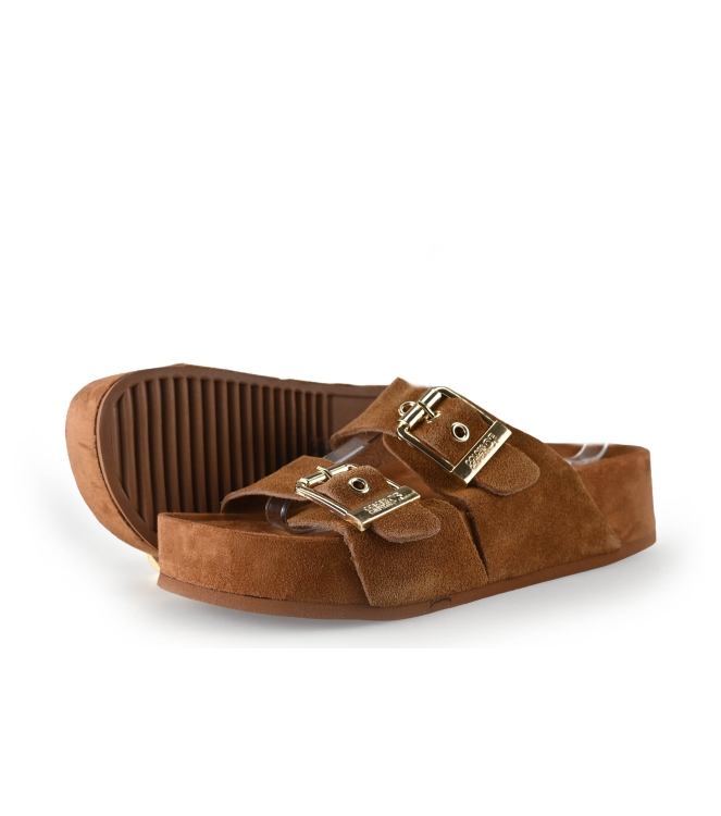 Colors of California Muiltjes