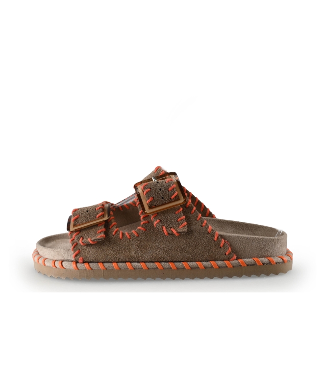 Colors of California Muiltjes