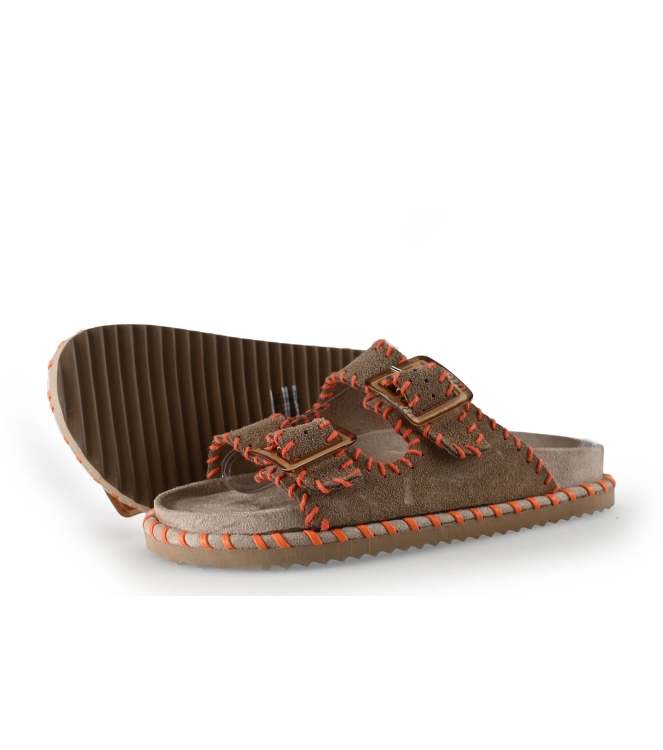 Colors of California Muiltjes