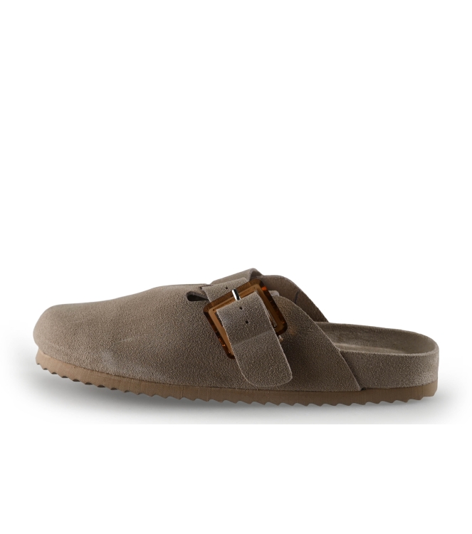 Colors of California Muiltjes