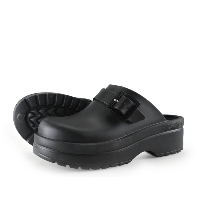 Colors of California Muiltjes