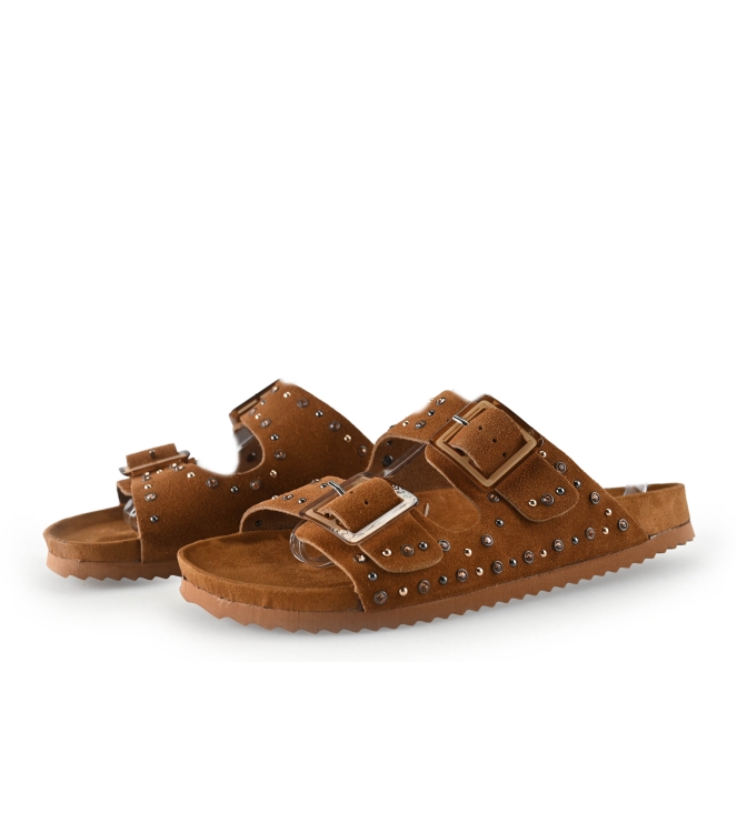 Colors of California Muiltjes