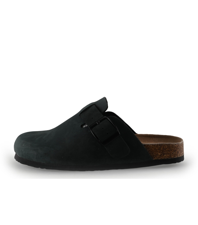 Colors of California Muiltjes