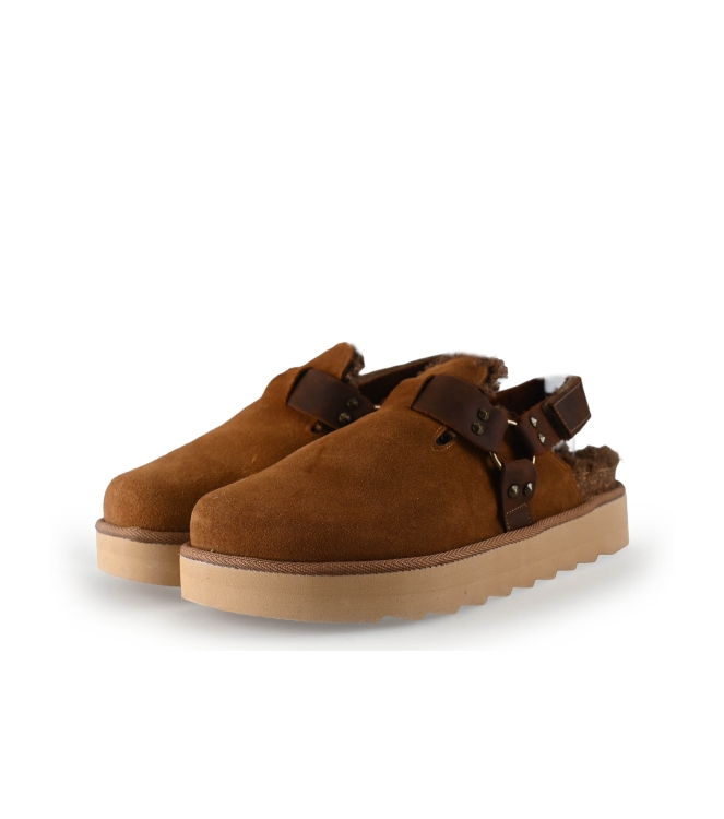 Colors of California Muiltjes